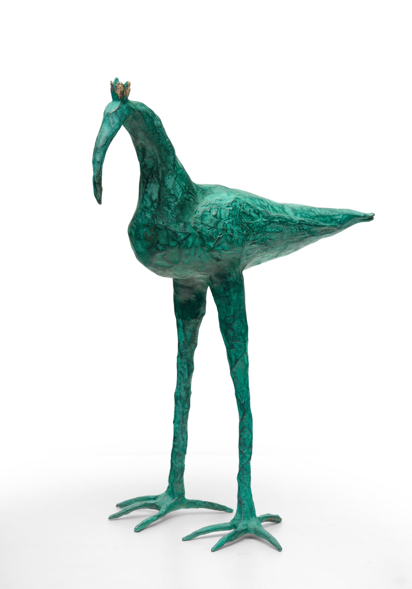 Crowned ibis