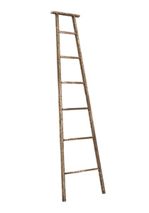 Ladder