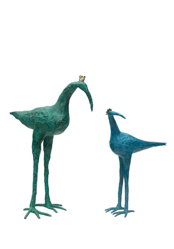 Crowned ibis