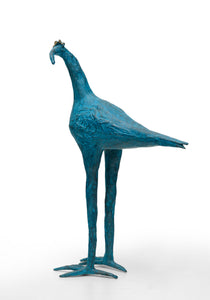 Crowned ibis
