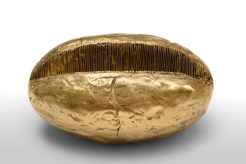 Pleated seed