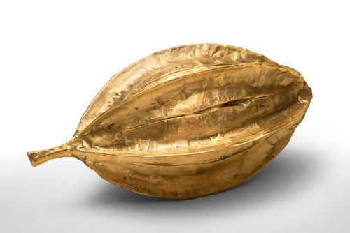 Carambole seed