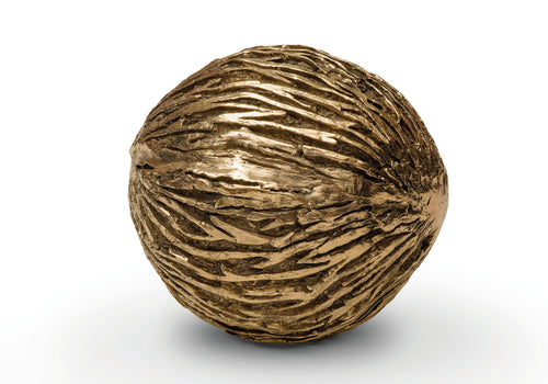 Pong tree seed