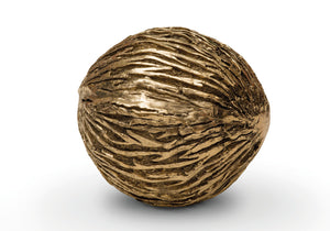 Pong tree seed